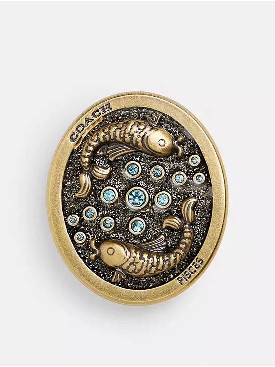 Coach Other - Coach Create Brass Pisces Astrology Zodiac Screw Back Pin